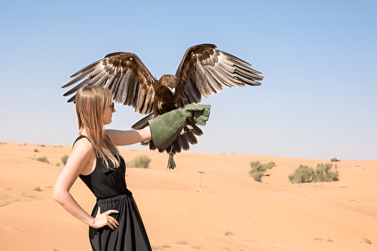 Dynamic scene of a falconry display in the Dubai desert, featuring a falcon in mid-flight and a falconer holding another falcon against a backdrop of golden sand dunes." @exploredesertsafari.com