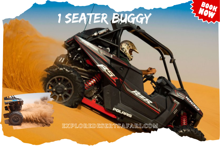 Single Seater Dune Buggy