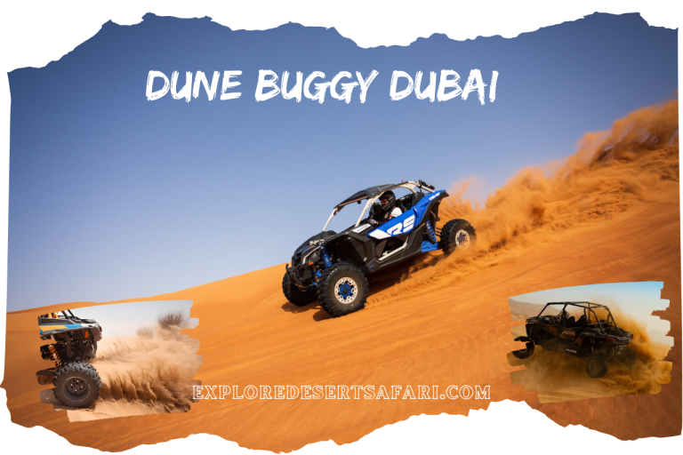 Dune Buggy in Desert Safari Dubai