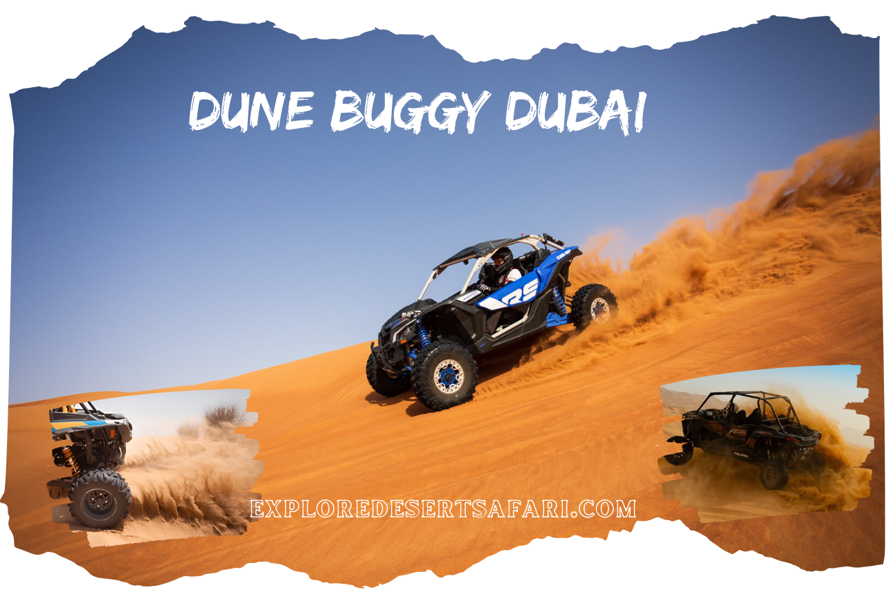 Dune Buggy in Desert @exploredesertsafari.com