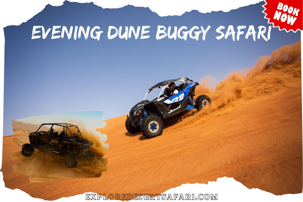 Evening Dune Bushing Buggy Safari in Dubai @exploredeseertsafari.com