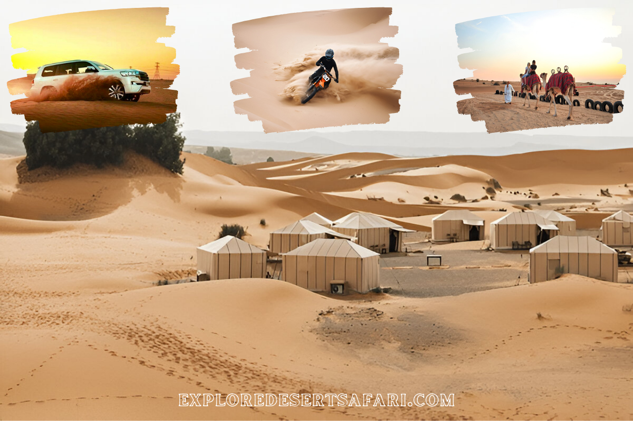 Morning Desert Safari In UEA
@exploredesertsafari.com