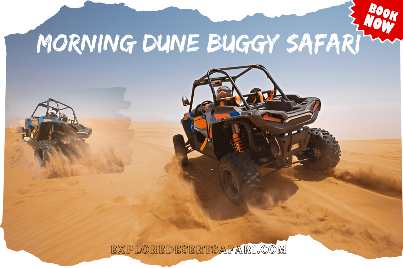 Morning Dune Bushing Buggy Safari in Dubai @exploredeseertsafari.com