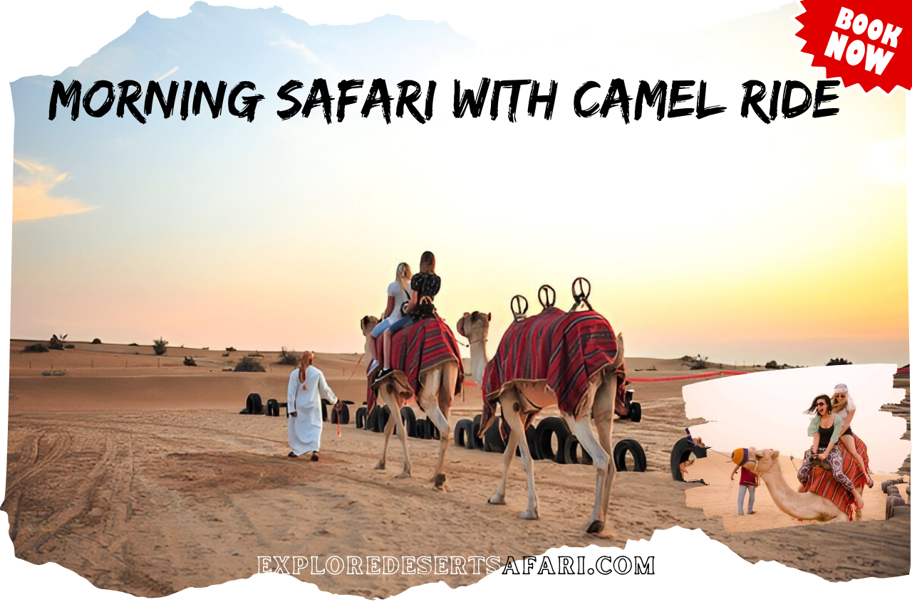 Morning Safari in Dubai with Camel Ride @exploredesertsafari.com