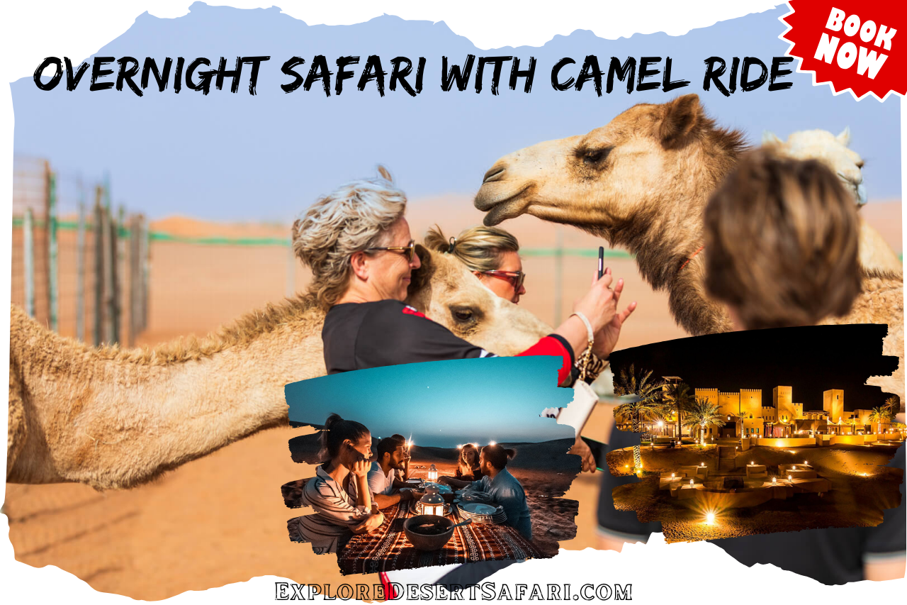 Overnight Safari With Camel Ride in Dubai @exploredesertsafari.com