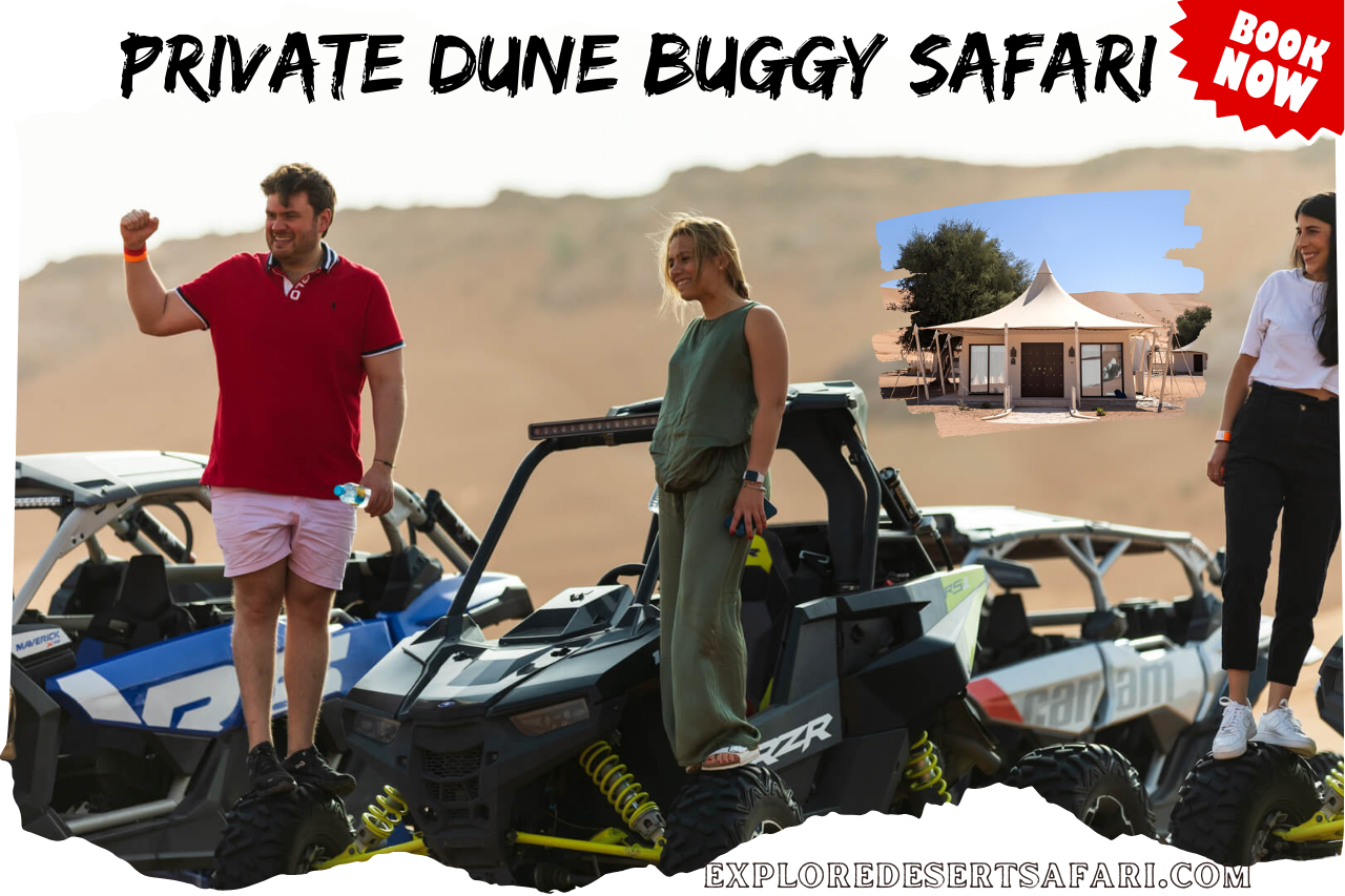 Private Dune Bushing Buggy Safari in Dubai @exploredeseertsafari.com